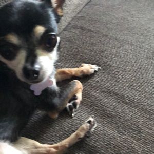 Meet your Posher, Kelly